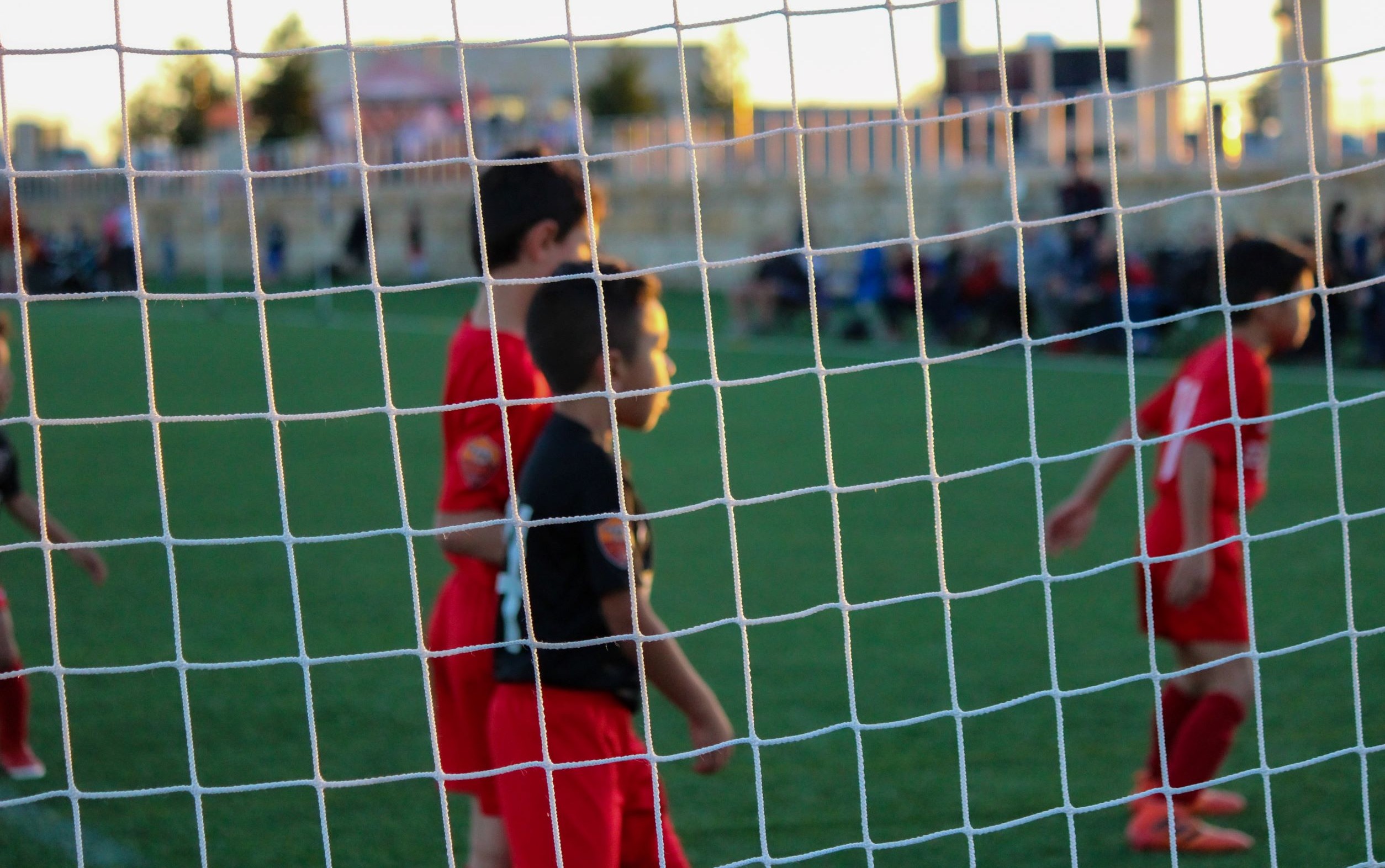 The Essential Components of Physical Education