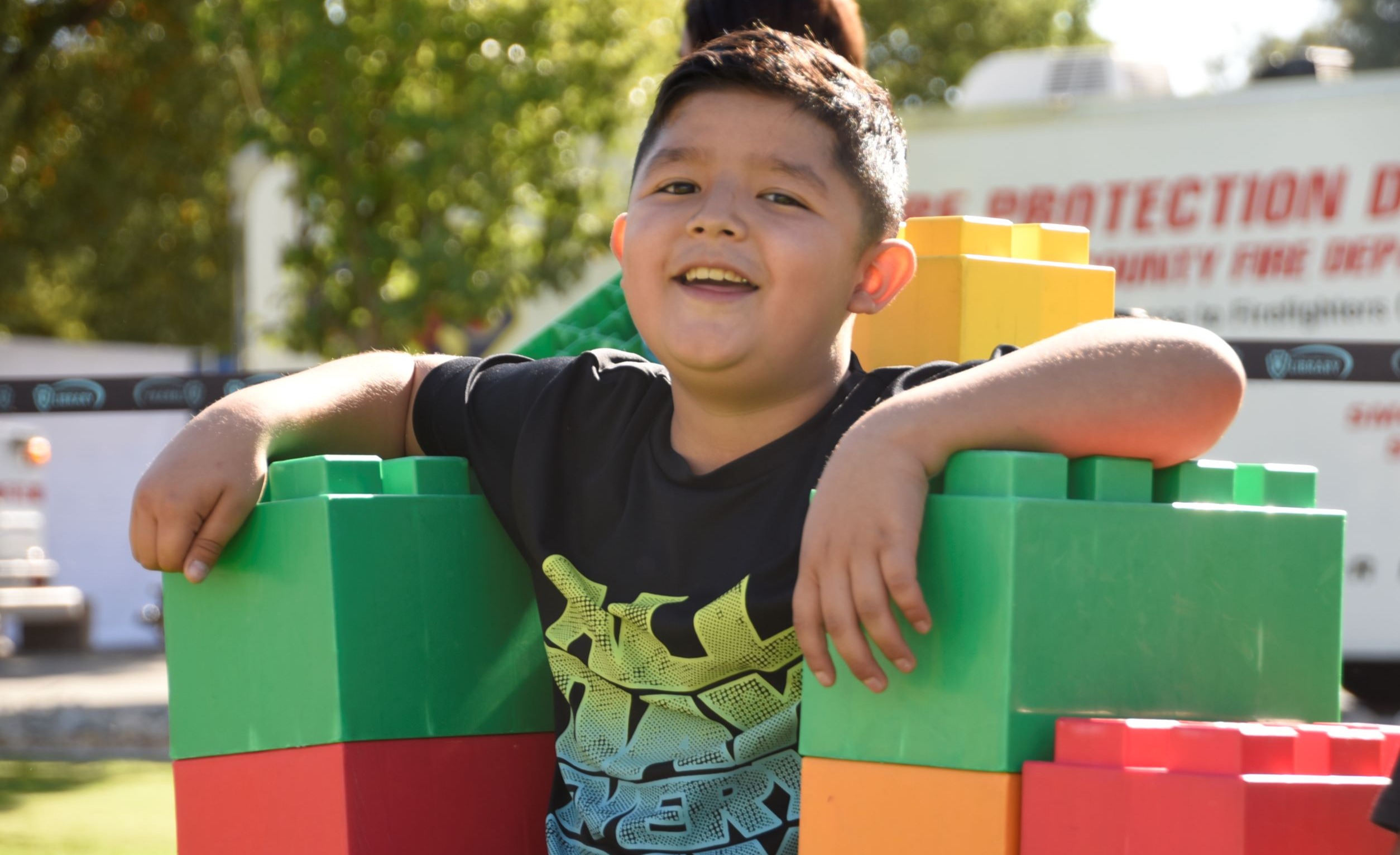 The Economics of Early Childhood Investments