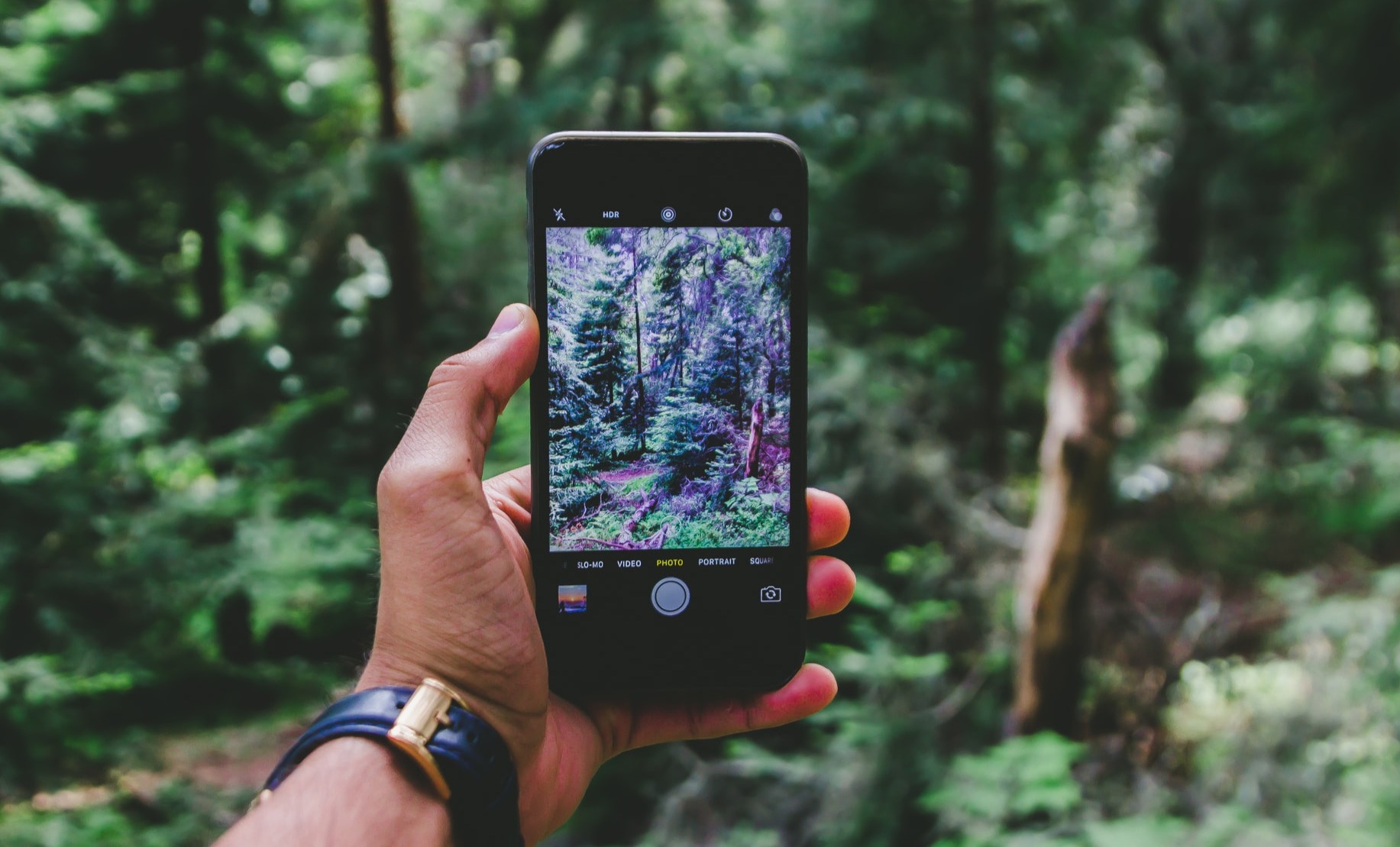 Copyright & Creativity-For Ethical Digital Citizens