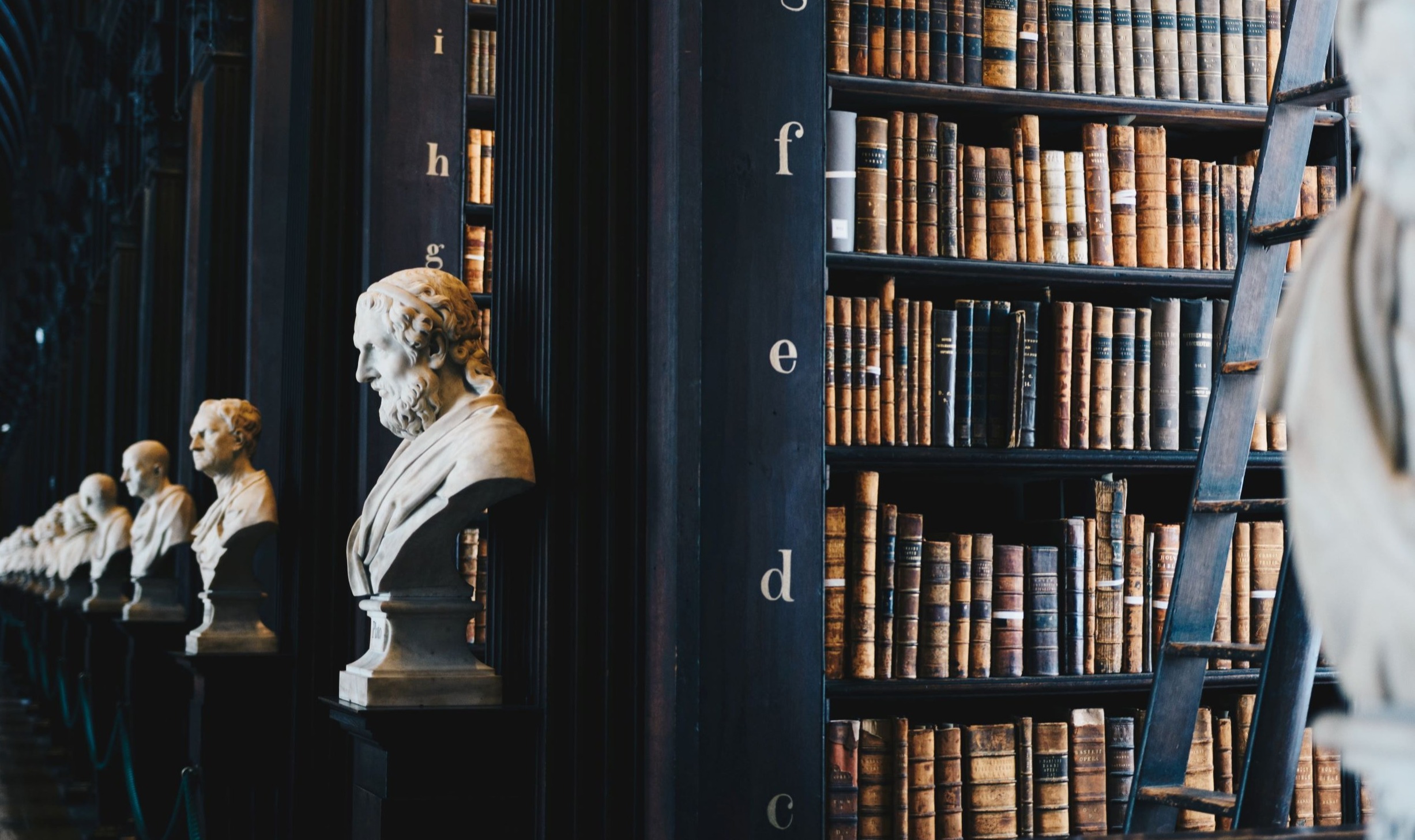 Connecting the Dots: Why a History Degree is Useful in the Business World